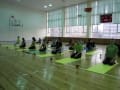 yogi-dom-sporta-01