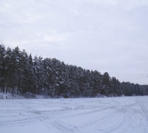 morzhi-01