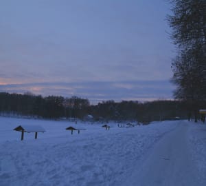 morzhi-15